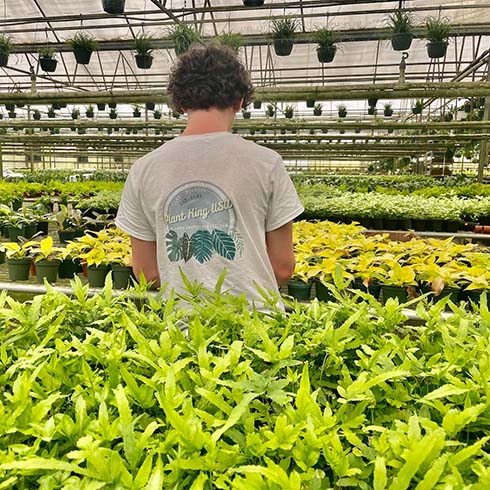 Taylor checking out plants inside of a greenhouse