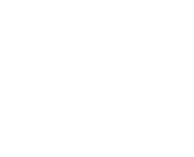 Georgia Boot Eagle Logo